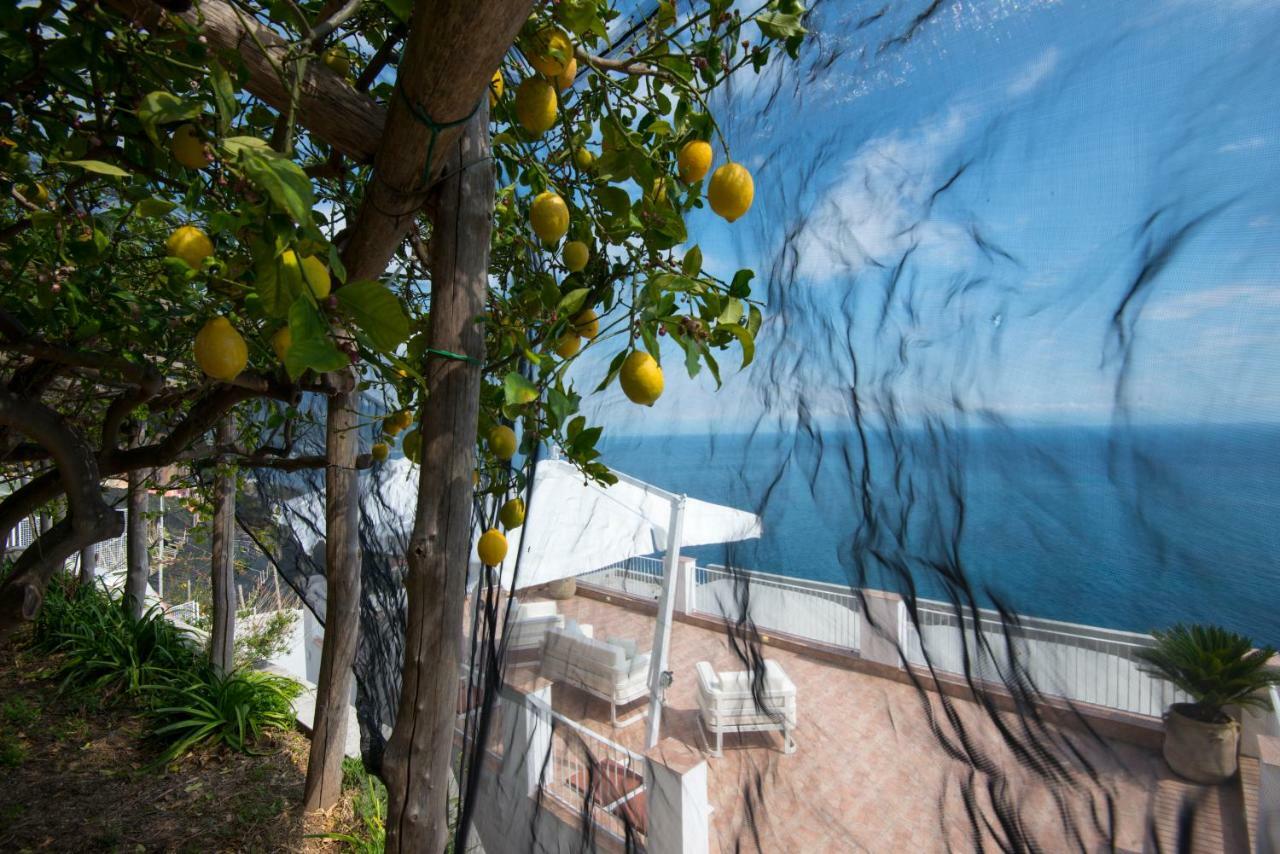Orleans Amalfi