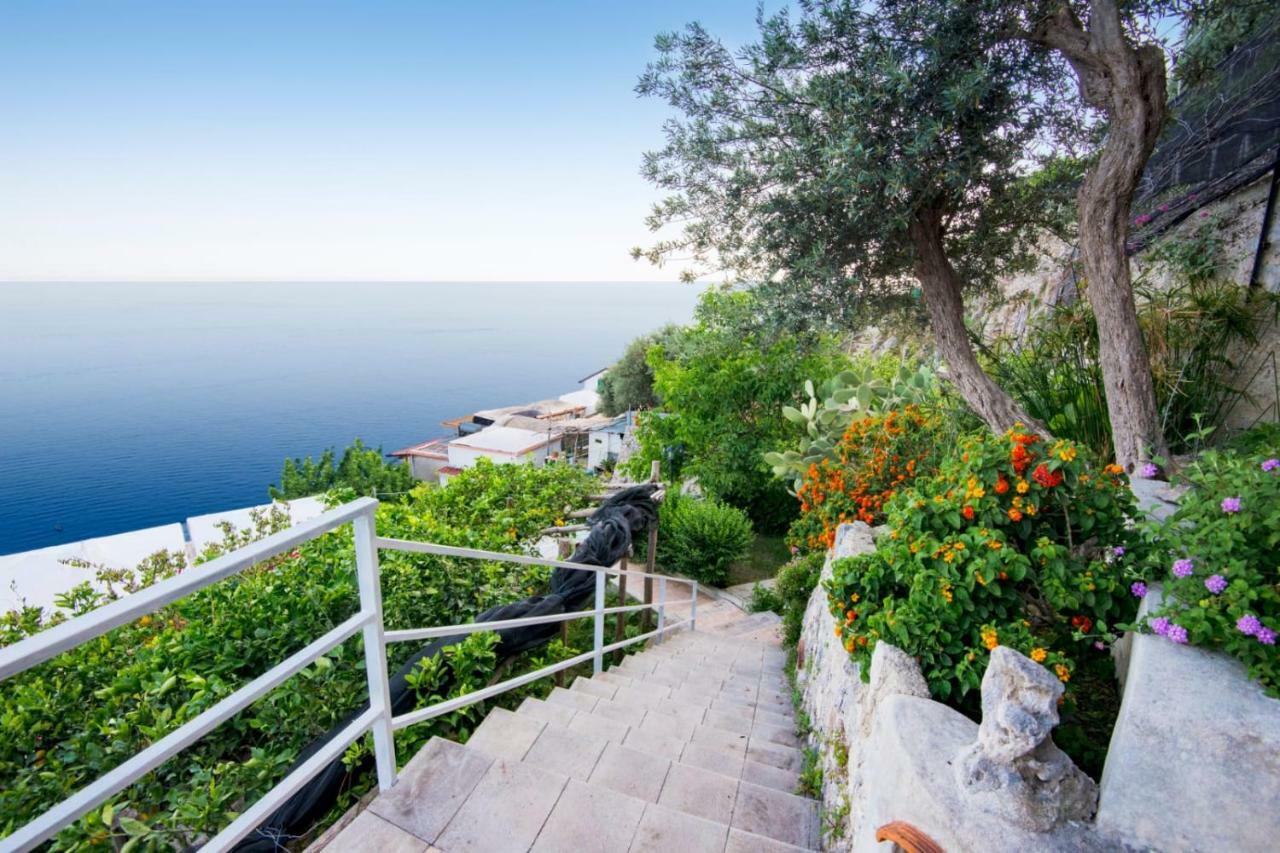 Orleans Maison d'hôtes Amalfi